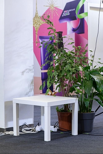 small product image
