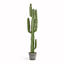 small product image