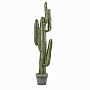 small product image