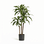 small product image