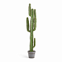 small product image