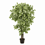 small product image
