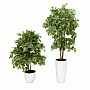 small product image