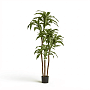 small product image